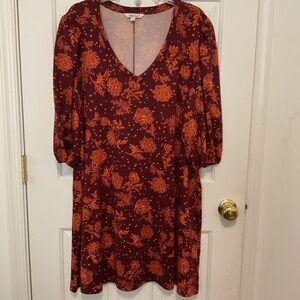 The Pioneer Women Dress